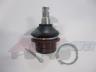 Nhradn dl: 51210-31G10 - 